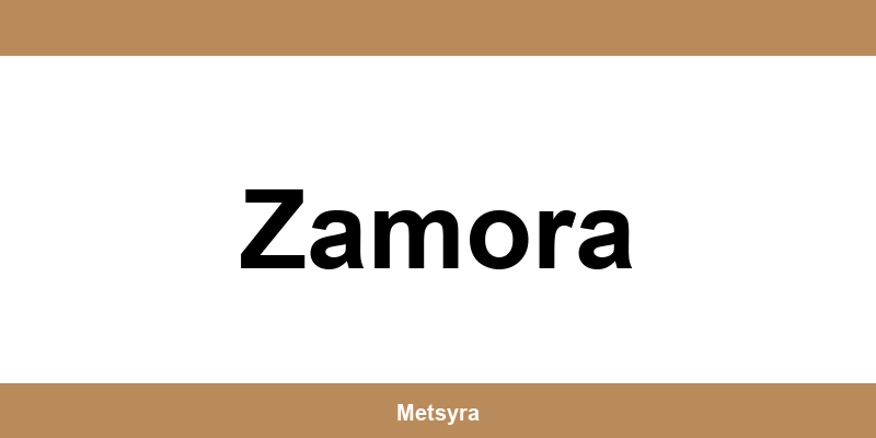 Teléfono de UPS Access Point ubicado en Zamora