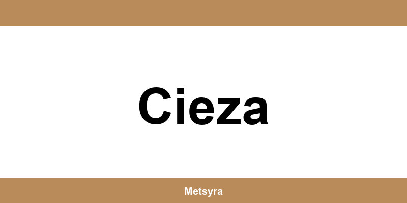 Teléfono de UPS Access Point ubicado en Cieza