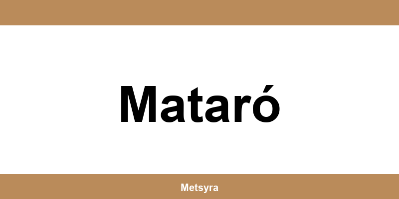 Teléfono de UPS Access Point ubicado en Mataró