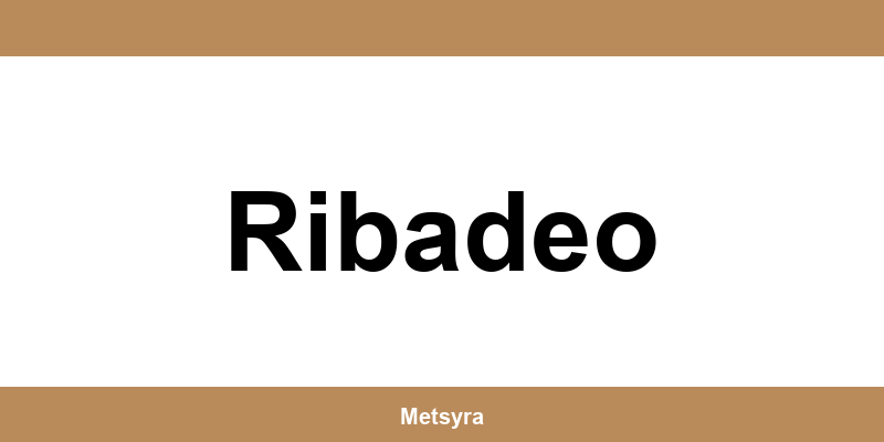 Teléfono de UPS Access Point ubicado en Ribadeo