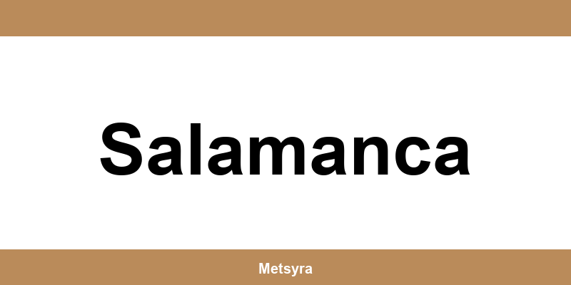 Teléfono de UPS Access Point ubicado en Salamanca