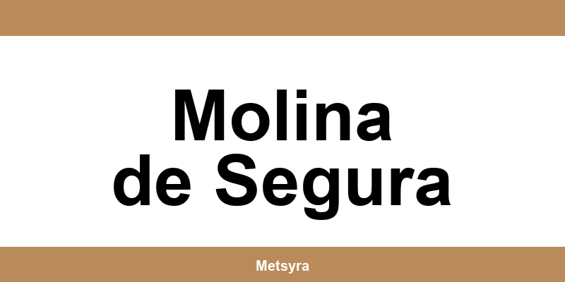 Teléfono de UPS Access Point ubicado en Molina de Segura