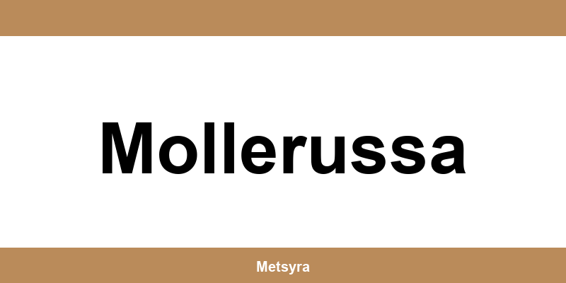 Teléfono de UPS Access Point ubicado en Mollerussa