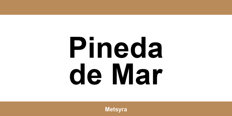 Teléfono de UPS Access Point ubicado en Pineda de Mar